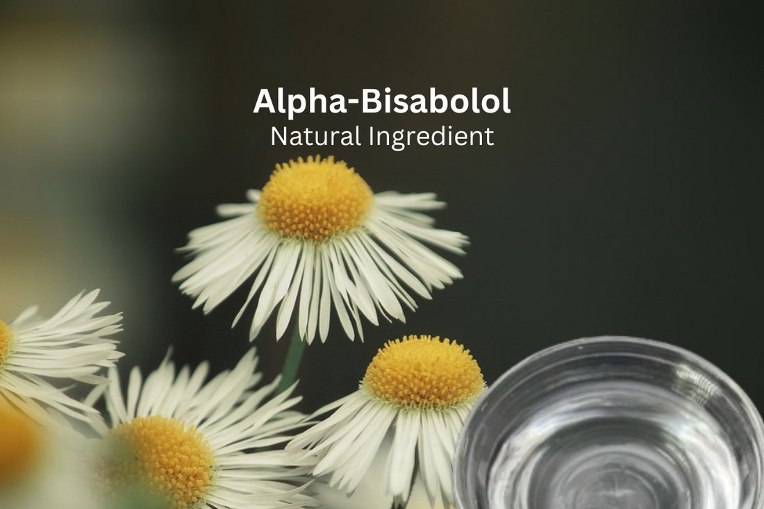 Why should you add alpha-bisabolol to your skincare formula?