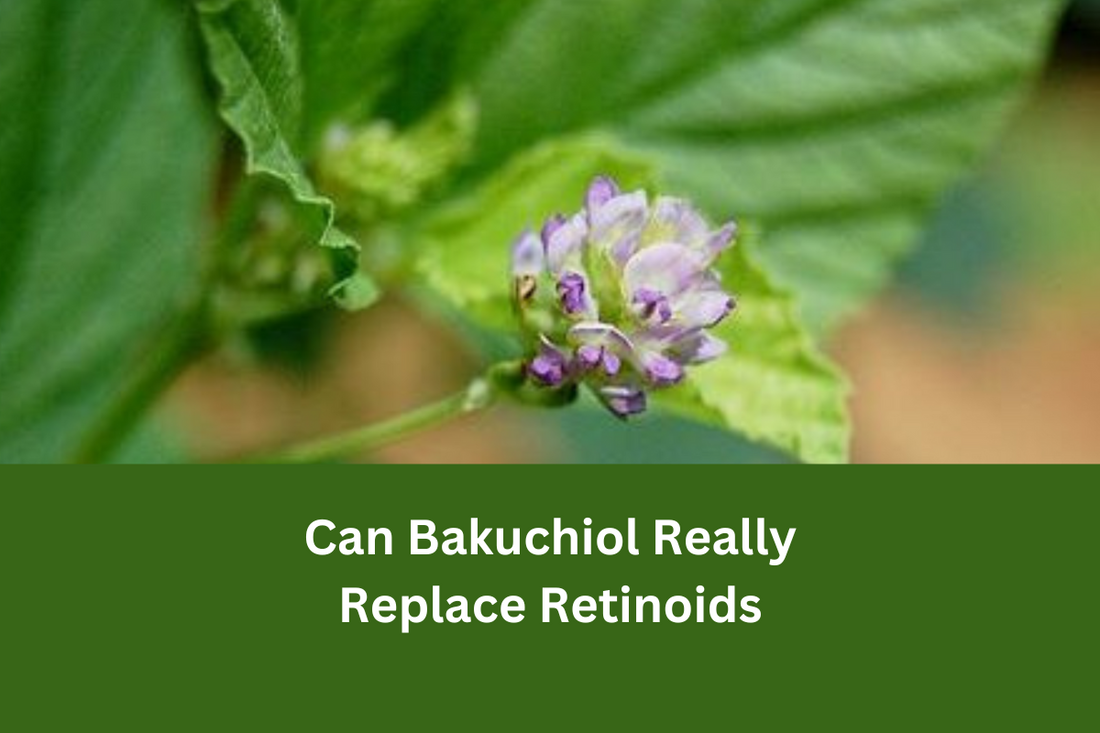 Bakuchiol - Plant Retinoid