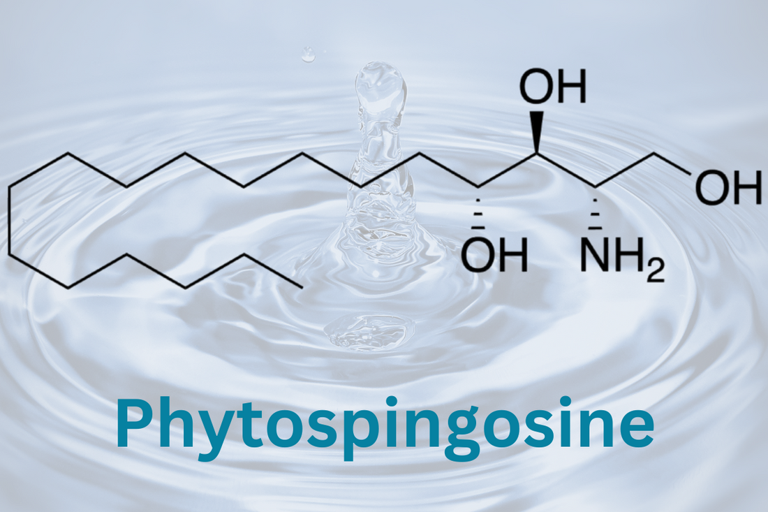 Phytosphingosine - Targeting Acne Issues & Dry Skin