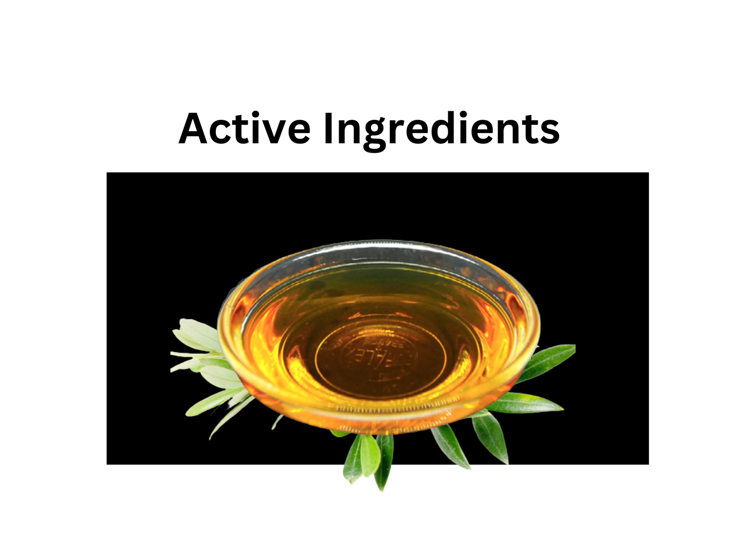 Active Ingredients